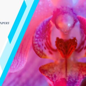 psychological benefits of genital cosmetic, medexpert clinic