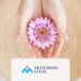 comparing labiaplasty and majoraplasty, medexpert clinic
